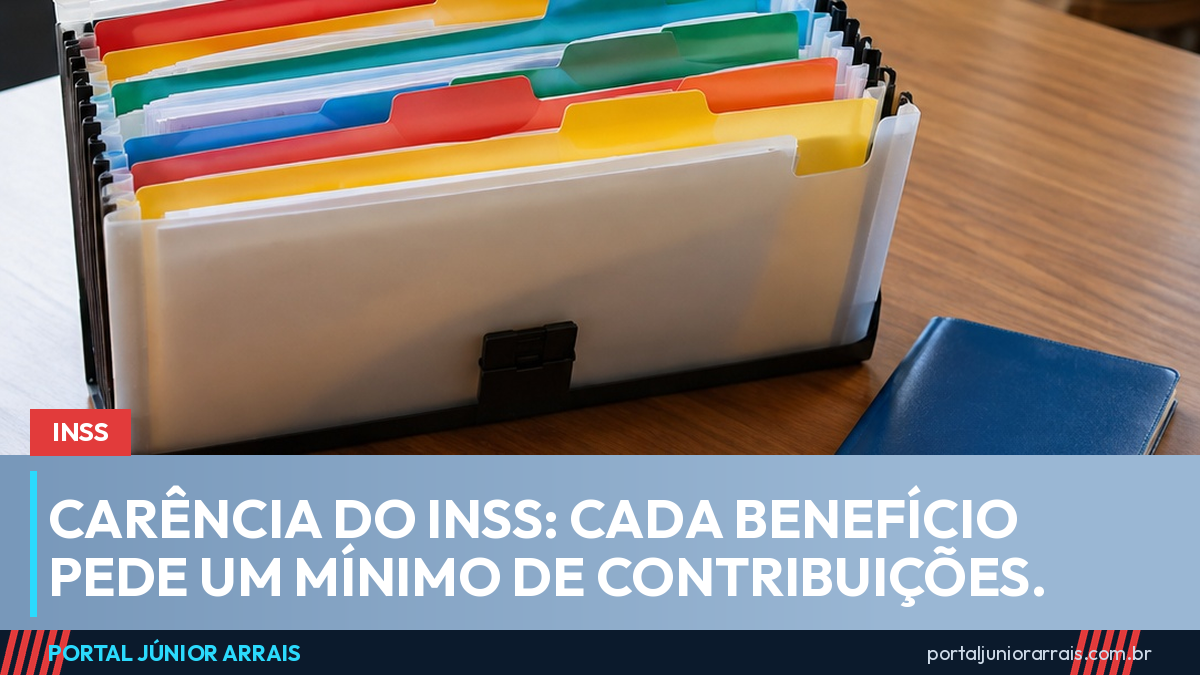 Pasta sanfonada com abas coloridas e uma carteira de trabalho azul fechada sobre a mesa.