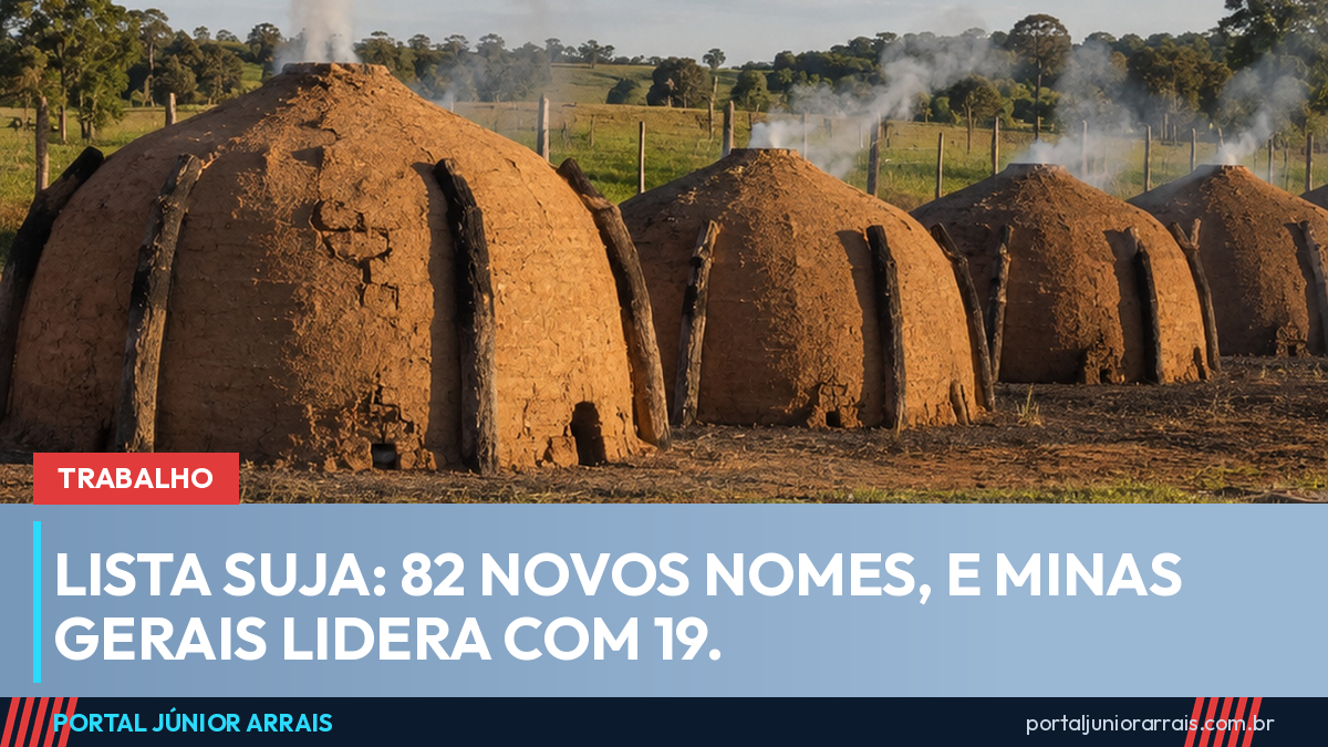 Fornos de carvão vegetal de barro em formato de cúpula enfileirados em área rural, com fumaça leve, pasto e cerca ao fundo