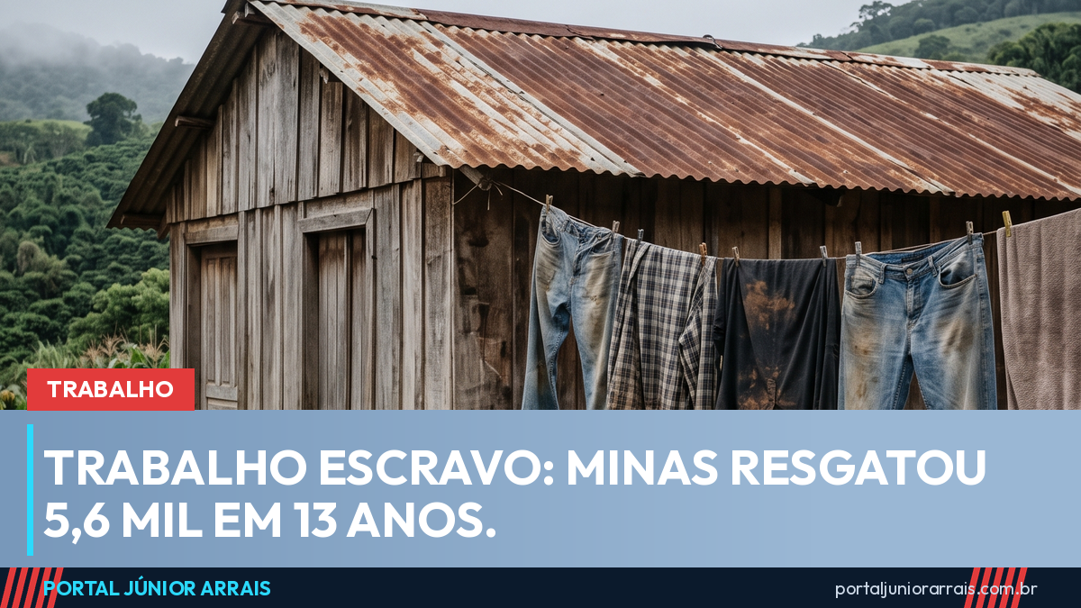 Minas Gerais resgatou 5,6 mil pessoas de trabalho análogo à escravidão em 13 anos